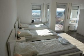 Monteur Apartment BGM nähe BASF - Atrium